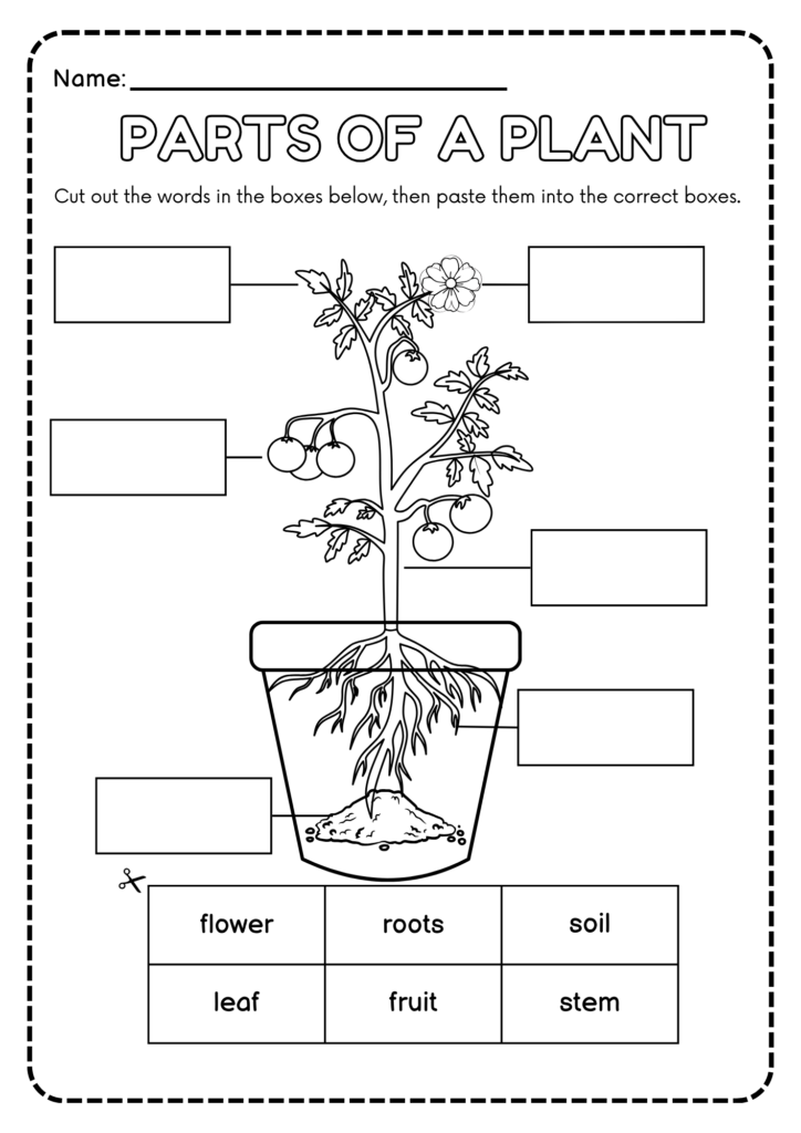 Parts of a Plant cut-and-paste labeling worksheet for preschool and kindergarten black and white